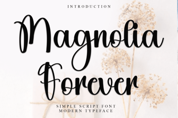 Magnolia Forever: A Font with Gentle Strength