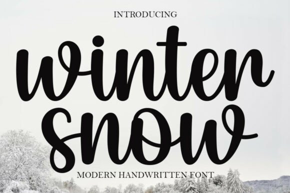 Winter Snow: Capturing Cozy Elegance in a Modern Script